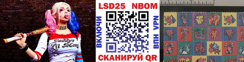 где продают наркотики  Весьегонск  нарко площадка Telegram  Наркотические марки 1500мкг 